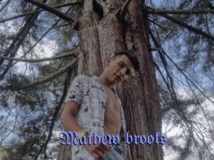 Mathew_brooks