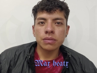 Max_heatx