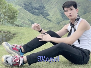 Maxcel