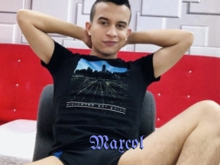 maxcol Gay Buzz