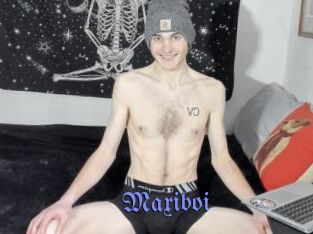 Maxiboi