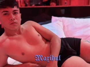 Maxihul