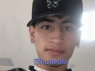 Maxiwells