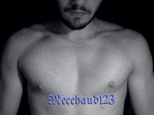 Mecchaud123