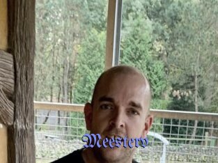 Meesterv