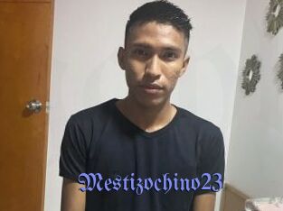 Mestizochino23