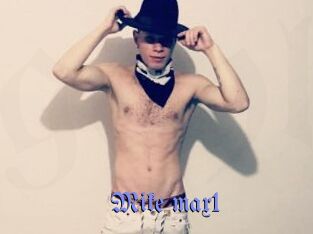 Mike_max1