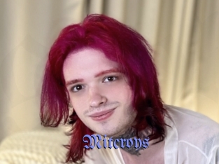 Mitcroys