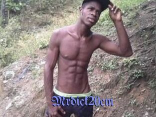 Mrdick20cm