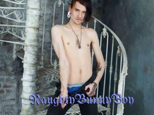 NaughtyBunnyBoy