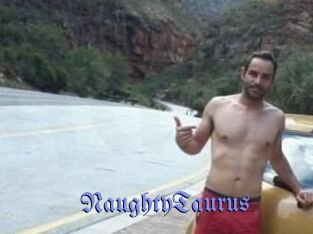 NaughtyTaurus