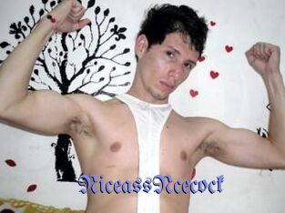 NiceassNcecock