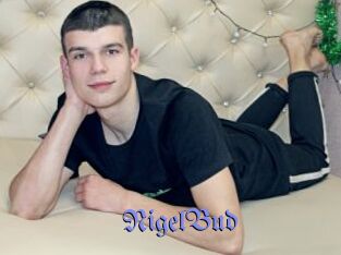 NigelBud