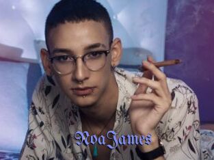 NoaJames Gay Buzz