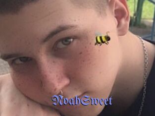 NoahSweet