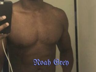 Noah_Grey
