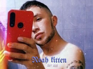 Noah_kitten