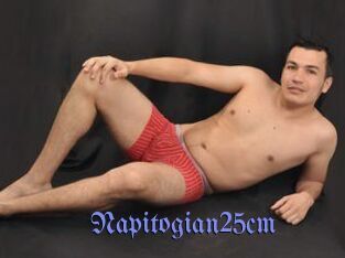 Napitogian25cm