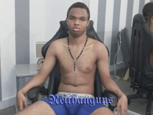 Neithanguns