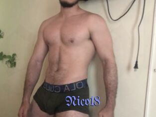 nico18 Gay Buzz