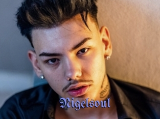Nigelsoul