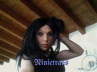 Ninietrans