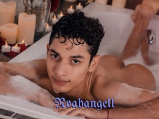 Noahangell