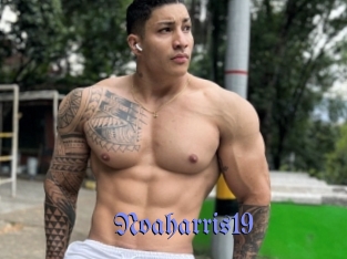 Noaharris19
