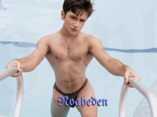 Noaheden