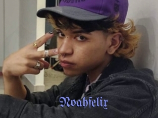 noahfelix Gay Buzz