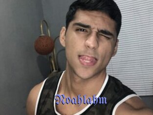 noahlahm Gay Buzz