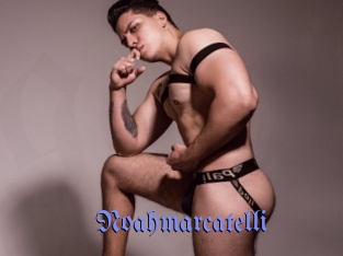 noahmarcatelli Gay Buzz