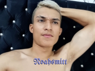 Noahsmitt