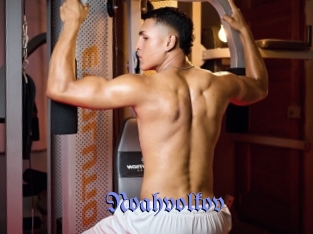 noahvolkov Gay Buzz