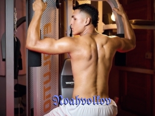 noahvolkov Gay Buzz