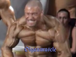 Oigan_muscle