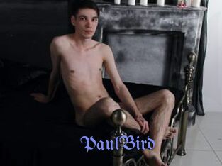 PaulBird