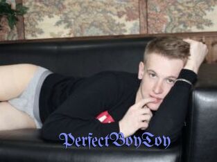 PerfectBoyToy