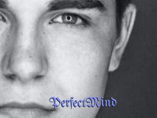 PerfectMind