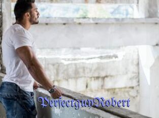 PerfectguyRobert