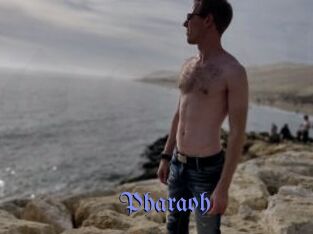 Pharaoh