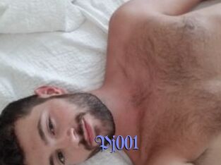 Pj001