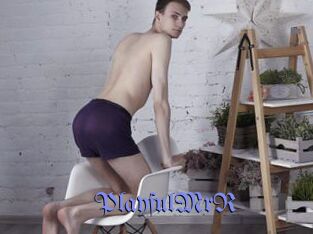 PlayfulMrR