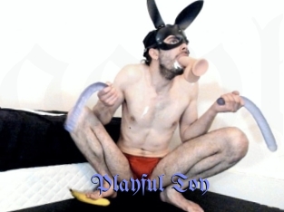 Playful_Toy