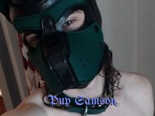 Pup_Samson