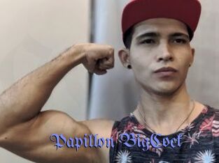 Papillon_BigCock