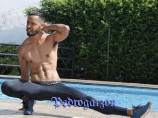 Pedrogarzon