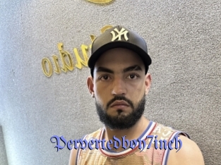 Pervertedboy7inch