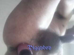 Piggyboy