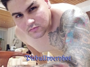 pitbullyveryhot Gay Buzz